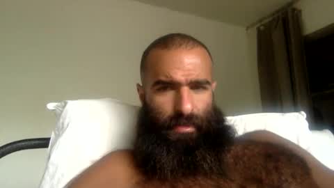 Snapshot of woof_wolf37 chatting on 05/24/26, 03:17 woof_wolf37 online show from 05/24/26, 03:17