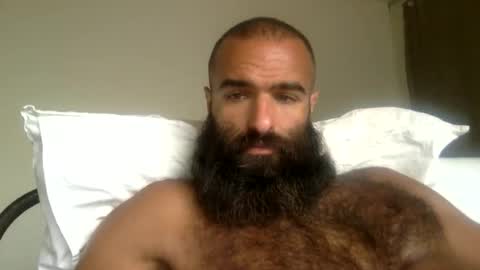 Snapshot of woof_wolf37 chatting on 05/26/26, 03:19 woof_wolf37 online show from 05/26/26, 03:19