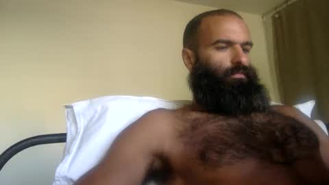 Snapshot of woof_wolf37 chatting on 05/29/26, 03:43 woof_wolf37 online show from 05/29/26, 03:43