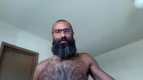 Snapshot of woof_wolf37 chatting on 06/10/26, 04:06 woof_wolf37 online show from 06/10/26, 04:06