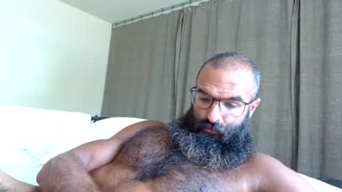 Snapshot of woof_wolf37 chatting on 06/26/26, 05:06 woof_wolf37 online show from 06/26/26, 05:06