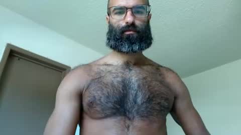 Snapshot of woof_wolf37 chatting on 07/23/26, 04:49 woof_wolf37 online show from 07/23/26, 04:49