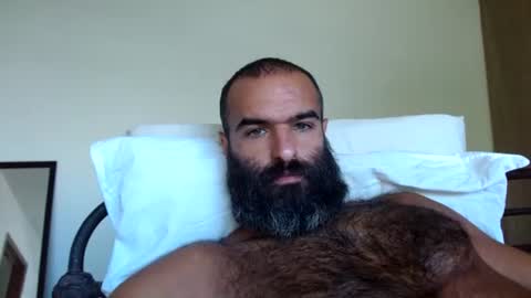 Snapshot of woof_wolf37 chatting on 07/30/26, 04:17 woof_wolf37 online show from 07/30/26, 04:17