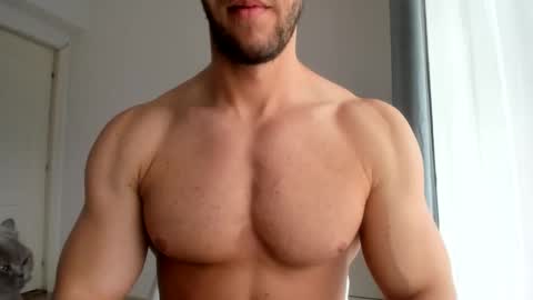 Wolfie online show from 05/04/26, 09:16