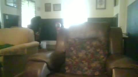 Snapshot of woperator3 chatting on 12/04/24, 04:49 woperator3 online show from 12/04/24, 04:49