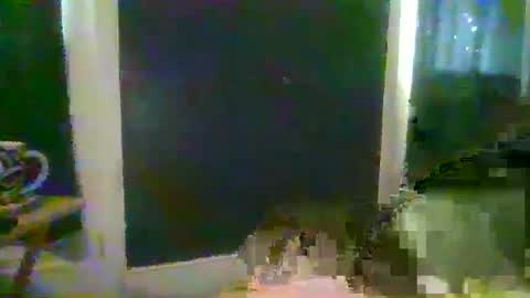 Snapshot of woperator3 chatting on 12/08/24, 04:07 woperator3 online show from 12/08/24, 04:07
