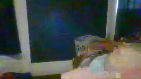 Snapshot of woperator3 chatting on 01/12/25, 10:01 woperator3 online show from 01/12/25, 10:01