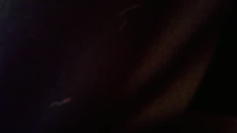 Snapshot of wrangleat0r chatting on 02/12/26, 02:50 wrangleat0r online show from 02/12/26, 02:50