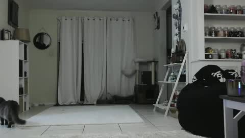 Snapshot of wrenleigh chatting on 01/03/25, 05:28 Crystal Lake online show from 01/03/25, 05:28