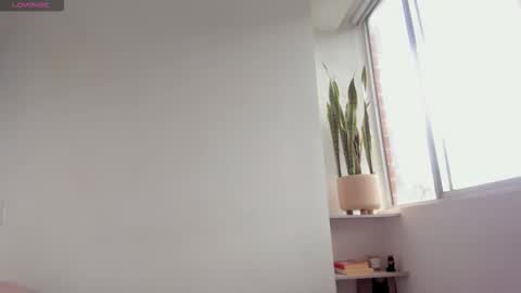 Xavier online show from 11/17/25, 08:47