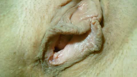 Lost in Lust online show from 01/31/25, 12:50