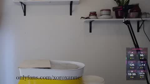 Snapshot of xoroxanne chatting on 02/11/26, 08:36 xoroxanne online show from 02/11/26, 08:36