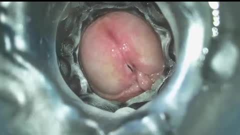 Snapshot of xoxowtf chatting on 12/16/24, 07:43 xoxowtf online show from 12/16/24, 07:43