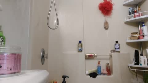 Snapshot of xploringus1 chatting on 01/02/25, 03:19 Xploringus online show from 01/02/25, 03:19