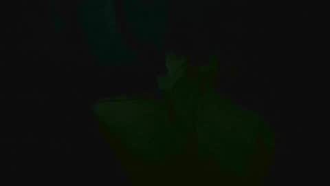 xposed_edger online show from 03/02/25, 05:33