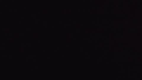 Snapshot of xtedx23 chatting on 02/24/25, 01:46 xtedx23 online show from 02/24/25, 01:46