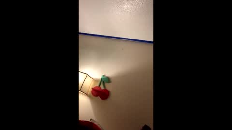 xtika online show from 01/19/25, 08:18