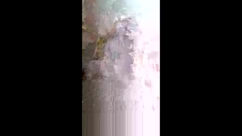 Snapshot of xxjessiebugxx chatting on 05/14/26, 02:29 xxjessiebugxx online show from 05/14/26, 02:29