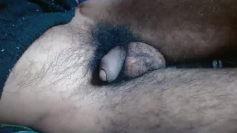 Prince online show from 11/16/25, 07:41