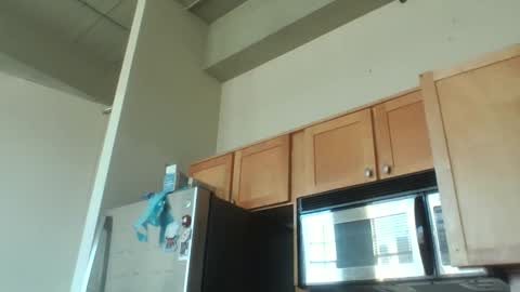 Danielle online show from 12/03/25, 08:29