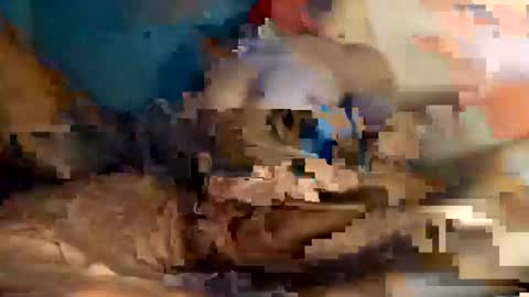 xxxdarknagician81 online show from 09/21/25, 03:13