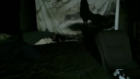 xxxjrstrokesxxx online show from 01/25/25, 02:15