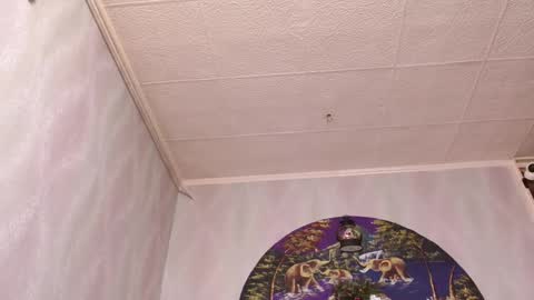 isa and gonzo online show from 12/16/25, 04:39