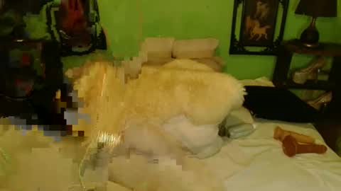 PAMPAM online show from 01/13/25, 12:24