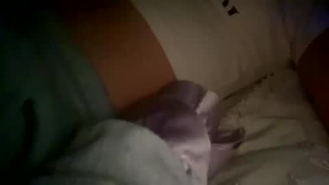 Snapshot of xxxsophiaday chatting on 10/04/25, 08:56 xxxsophiaday online show from 10/04/25, 08:56