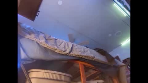 Snapshot of xzbib chatting on 12/12/24, 08:43 Xzbib online show from 12/12/24, 08:43