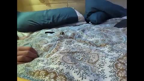 Snapshot of xzbib chatting on 03/10/25, 12:29 Xzbib online show from 03/10/25, 12:29