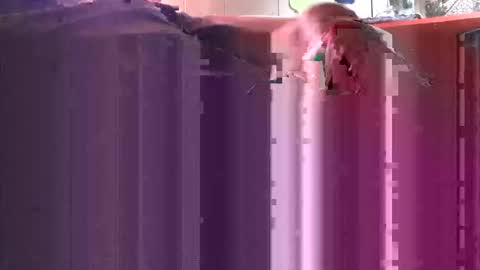 Snapshot of yangolox3 chatting on 10/04/25, 05:00 yangolox3 online show from 10/04/25, 05:00