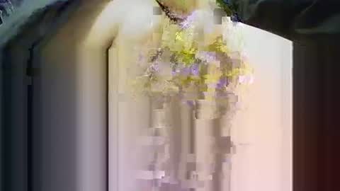 Snapshot of yangolox3 chatting on 11/14/25, 03:55 yangolox3 online show from 11/14/25, 03:55