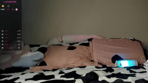 Snapshot of yaraliebe chatting on 01/24/25, 04:17 Yara online show from 01/24/25, 04:17