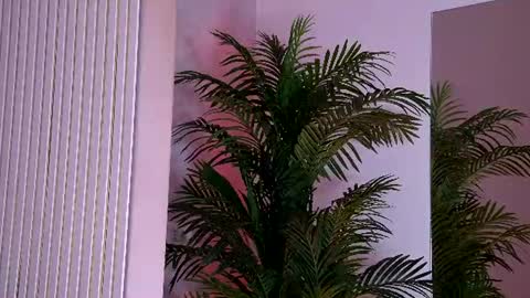 Yasmina  online show from 06/15/26, 03:20