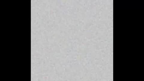 .     y e l l o w s n a k e s       . online show from 10/23/25, 05:33