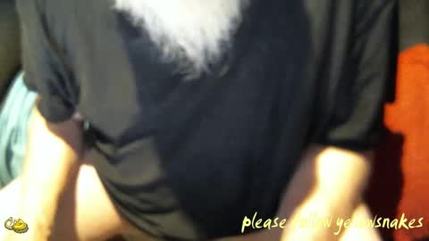 .     y e l l o w s n a k e s       . online show from 10/27/25, 02:10