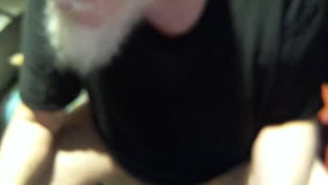 .     y e l l o w s n a k e s       . online show from 11/12/25, 12:38