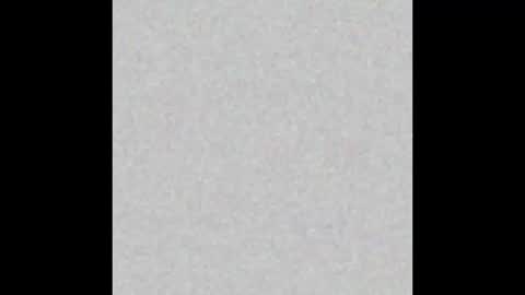 .     y e l l o w s n a k e s       . online show from 11/21/25, 12:37