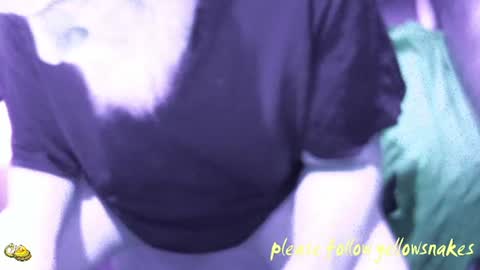 .     y e l l o w s n a k e s       . online show from 12/14/25, 08:02