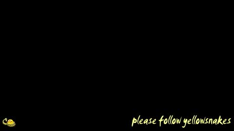 .     y e l l o w s n a k e s       . online show from 03/24/26, 12:59