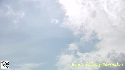 .     y e l l o w s n a k e s       . online show from 06/04/26, 05:02