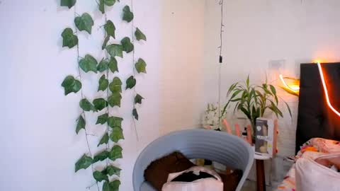 YEM online show from 05/28/26, 04:59