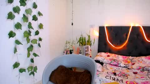 YEM online show from 06/11/26, 04:16
