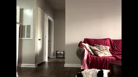 kindahorny online show from 10/14/25, 06:09