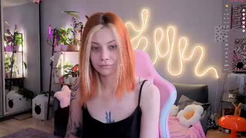your_corvus online show from 06/11/26, 08:01