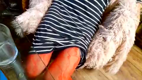 Taylor Tash online show from 12/01/25, 04:39