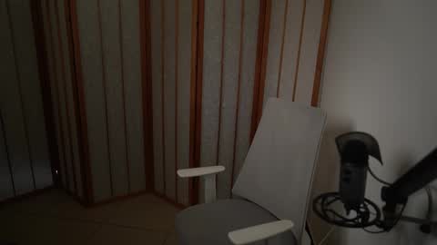 Snapshot of your_ice_cream chatting on 12/01/25, 01:05 Siebel. online show from 12/01/25, 01:05