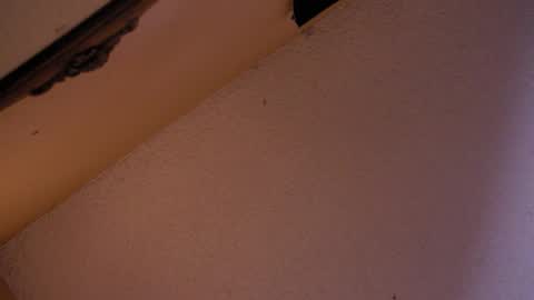 Snapshot of your_king_of_hearts chatting on 10/18/25, 02:58 Sophiestar online show from 10/18/25, 02:58