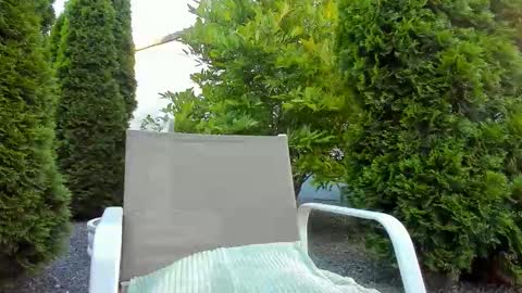 Snapshot of yourjackdick chatting on 06/11/26, 04:32 Jacky online show from 06/11/26, 04:32